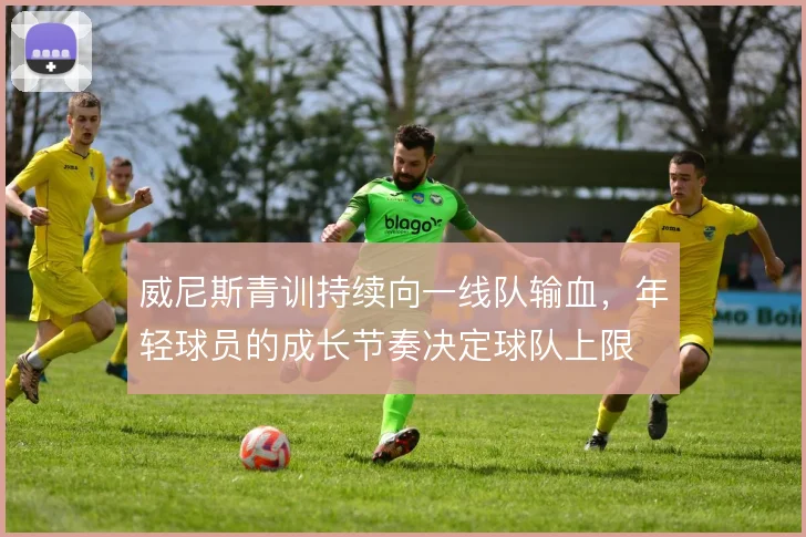 威尼斯青训持续向一线队输血，年轻球员的成长节奏决定球队上限