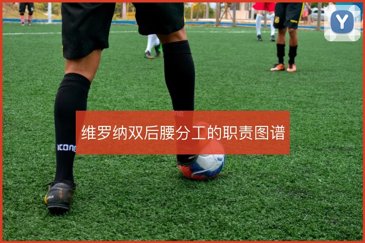 维罗纳双后腰分工的职责图谱