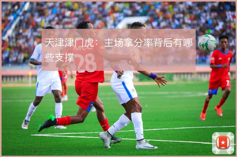 天津津门虎:主场拿分率背后有哪些支撑
